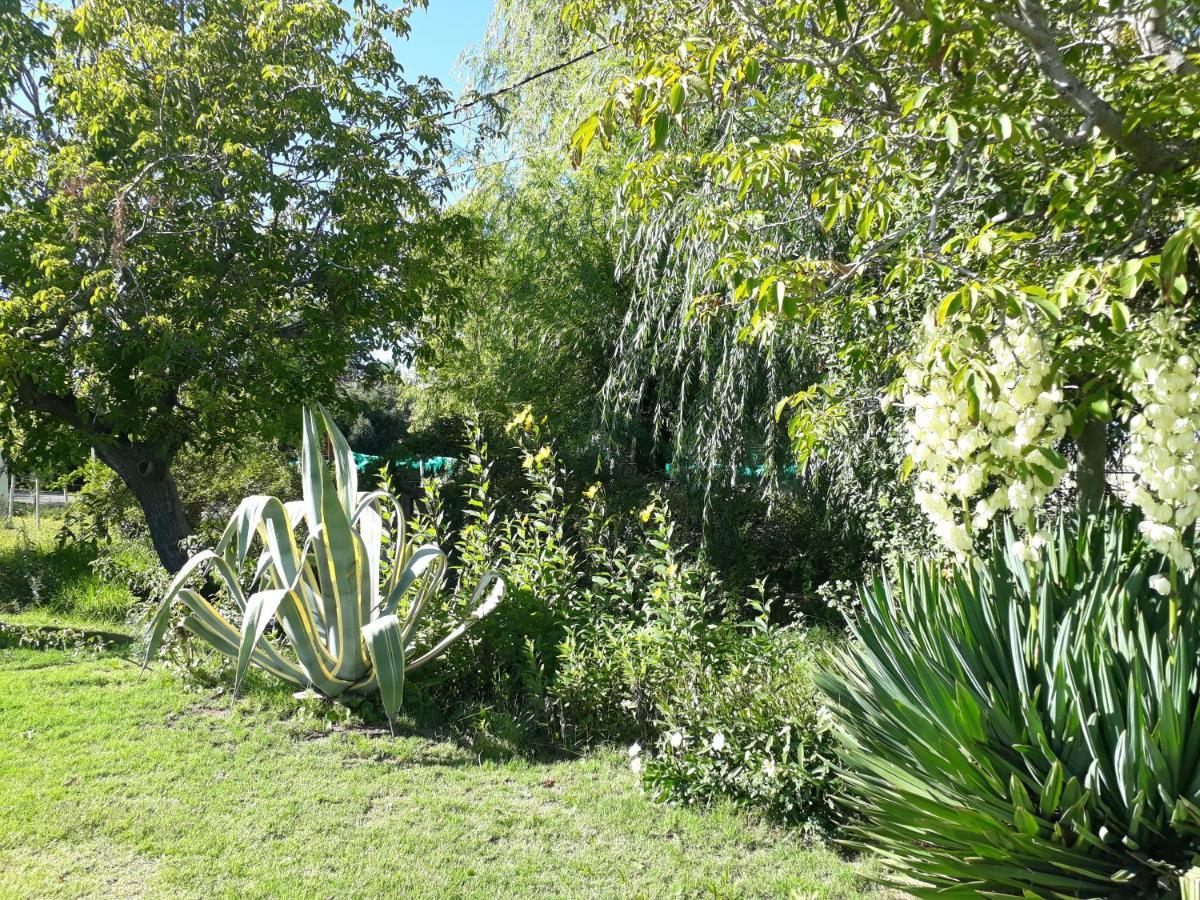 Casa De Campo Las Olivas San Rafael  Exteriör bild