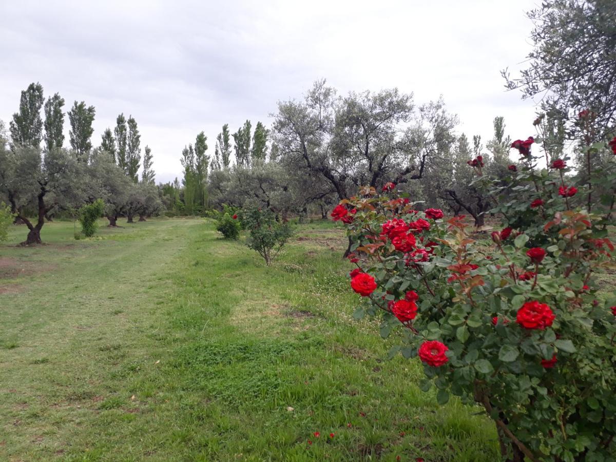 Casa De Campo Las Olivas San Rafael  Exteriör bild